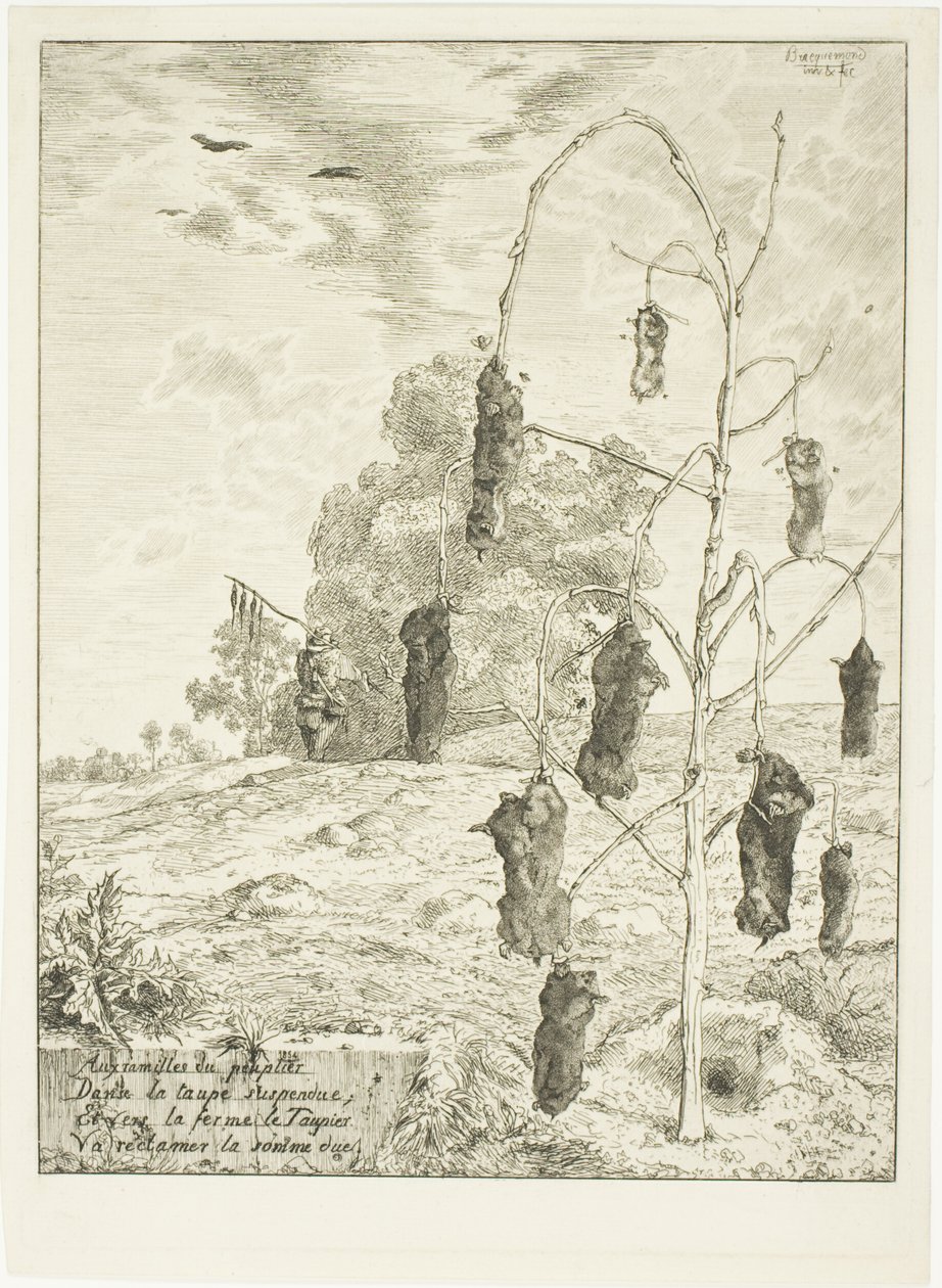 Talpe da Félix Henri Bracquemond