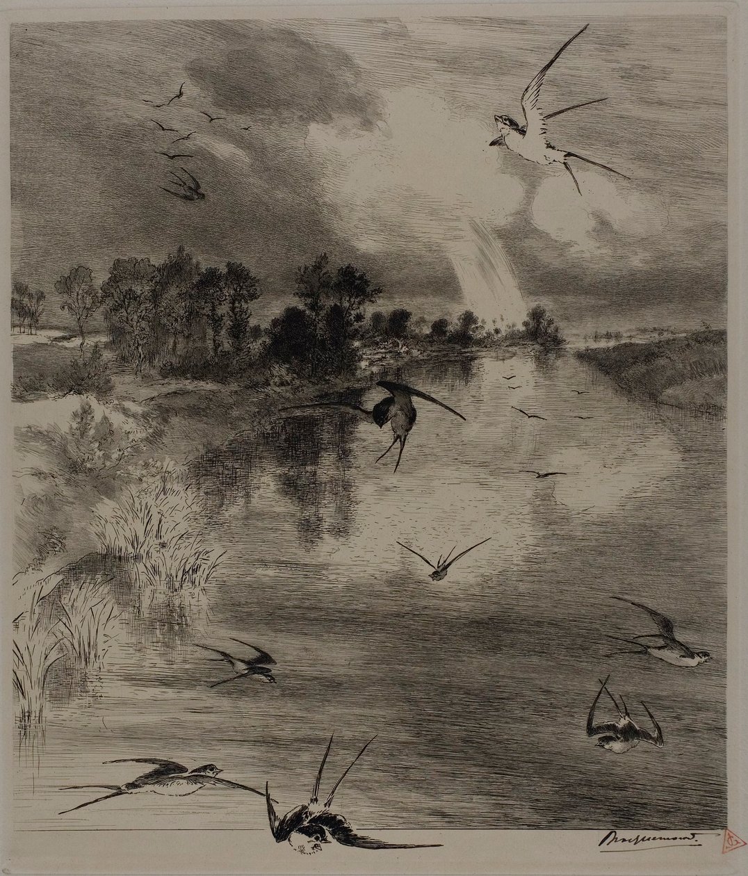 Rondini da Félix Henri Bracquemond