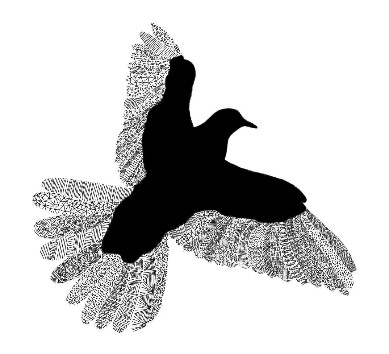 Arte lineare di uccelli da Florent Bodart
