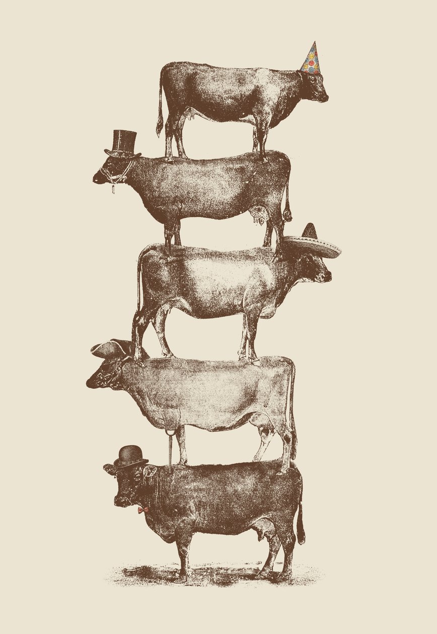 Noci di mucca da Florent Bodart