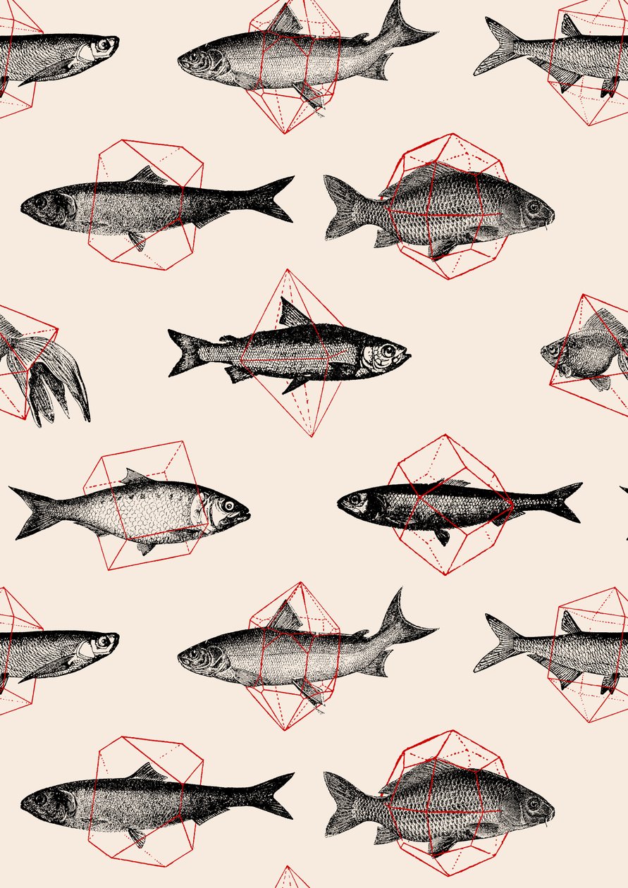 Pesci in Geometrie da Florent Bodart
