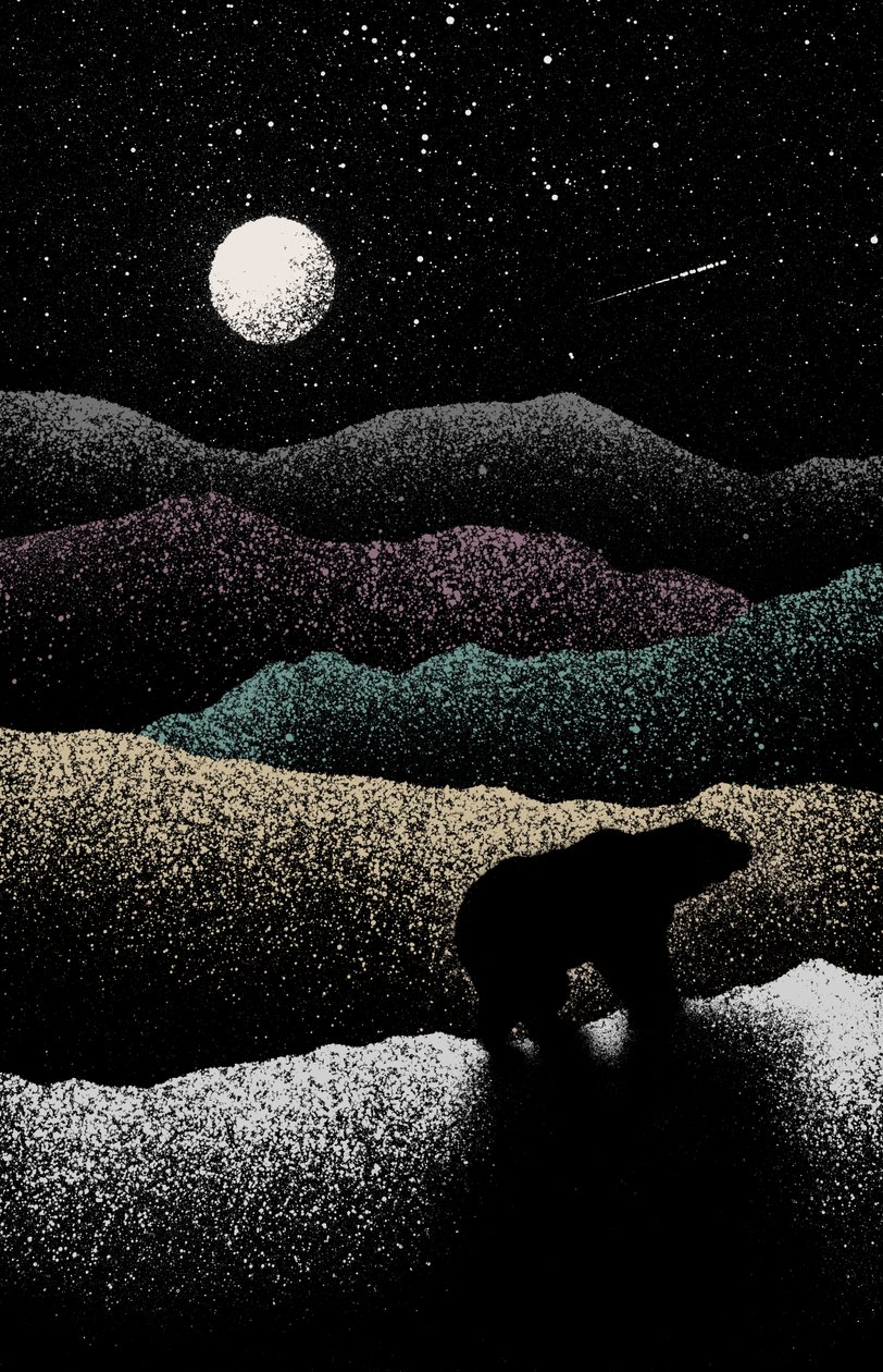 Orso Vagante da Florent Bodart