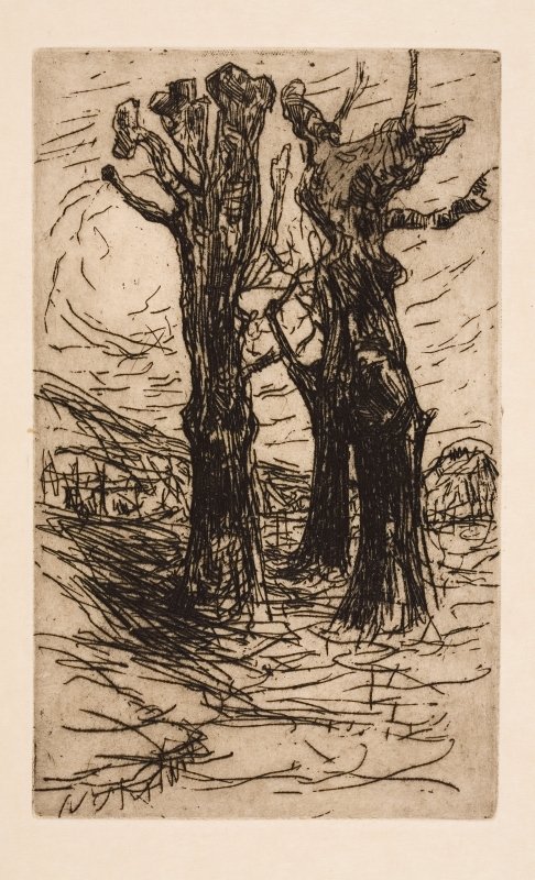 Due castagni da Floris Verster