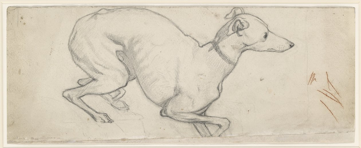 Studio di un levriero da Ford Madox Brown
