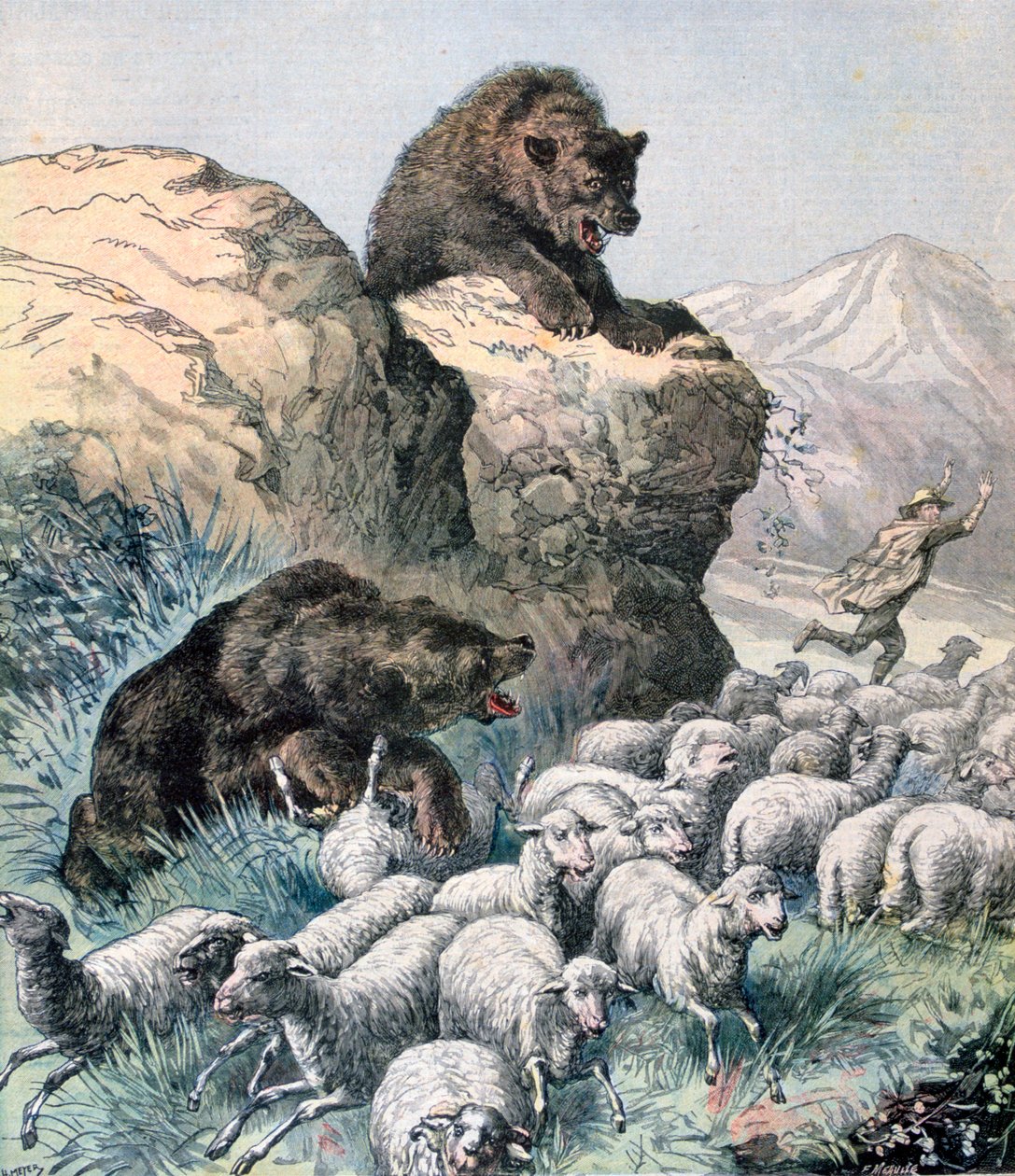 Orsi del Cagyre, 1891 da Fortuné Méaulle