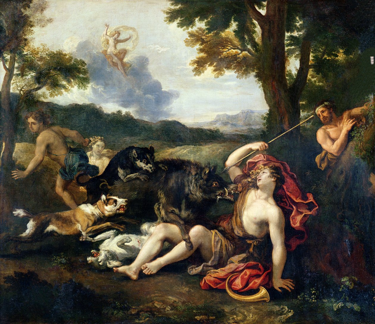 Adone Ucciso da un Cinghiale Selvatico da Francesco Albani