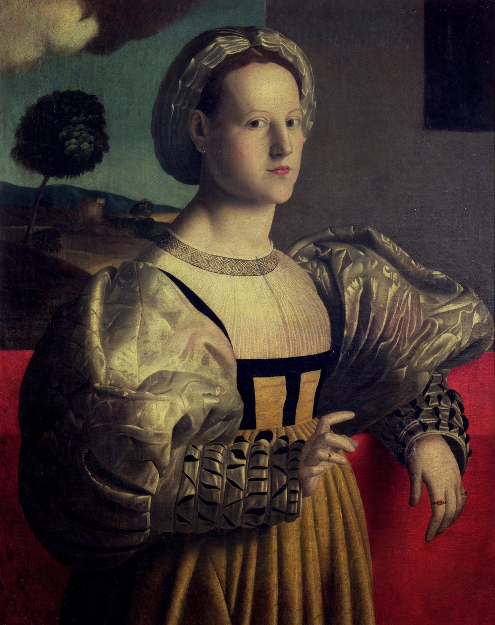 Ritratto di una signora da Francesco Ubertini Verdi Bachiacca