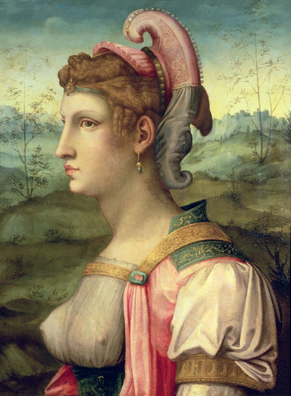Sibilla, c.1540 da Francesco Ubertini Verdi Bachiacca