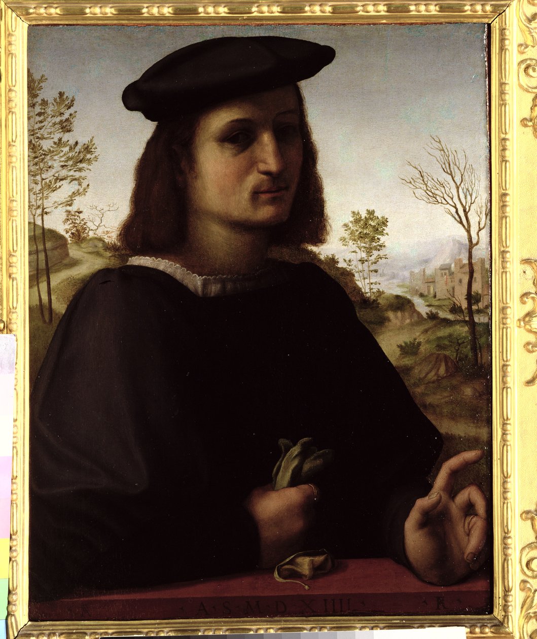 Ritratto di un giovane con guanti da Francesco di Cristofano Franciabigio
