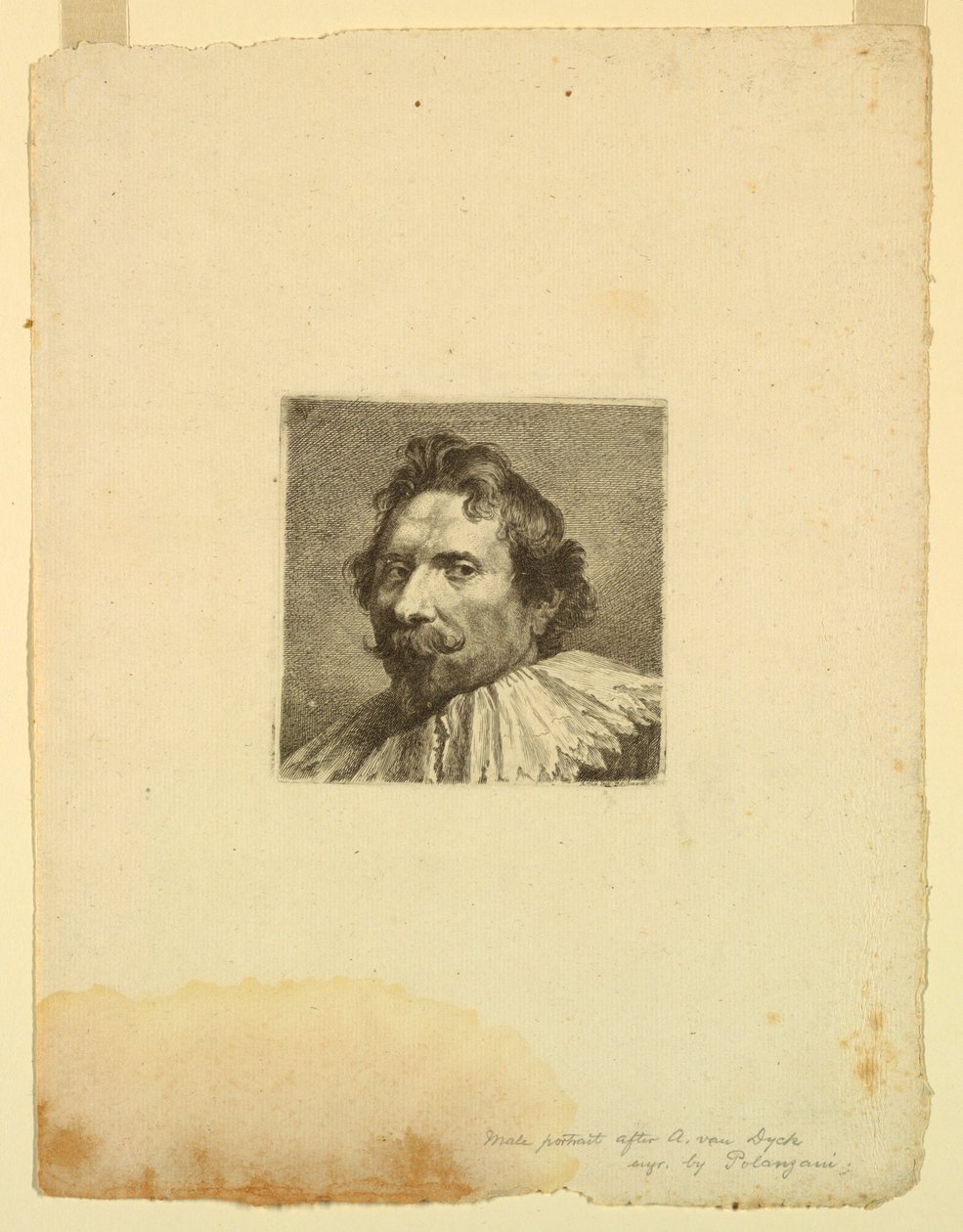 Ritratto maschile da Francesco (Felice) Polanzani
