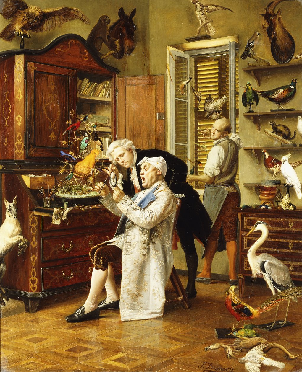 Il tassidermista da Francesco Brunery