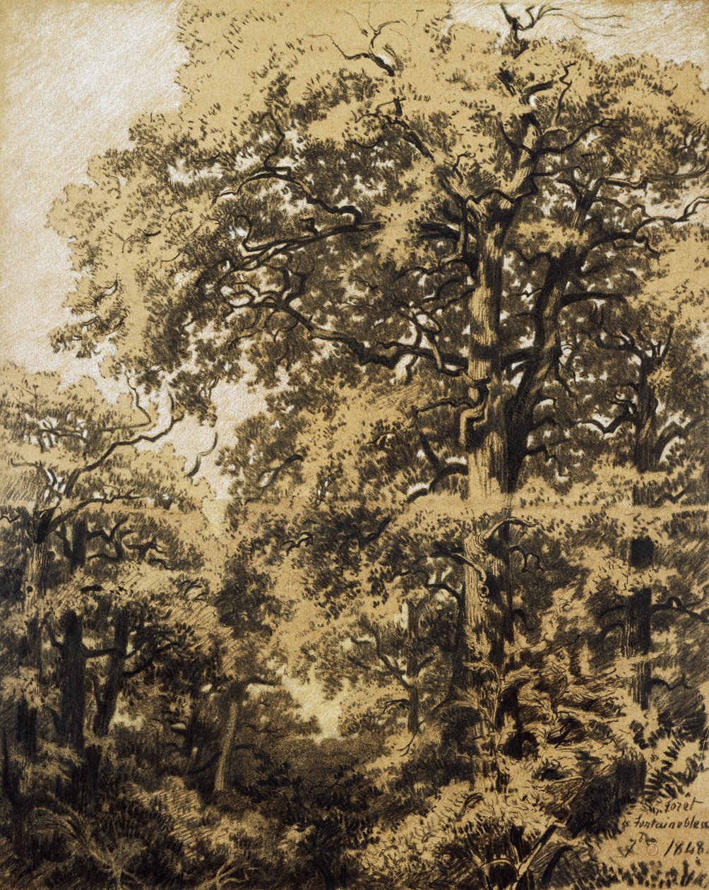 Foresta di Fontainebleau da Francesco Gamba