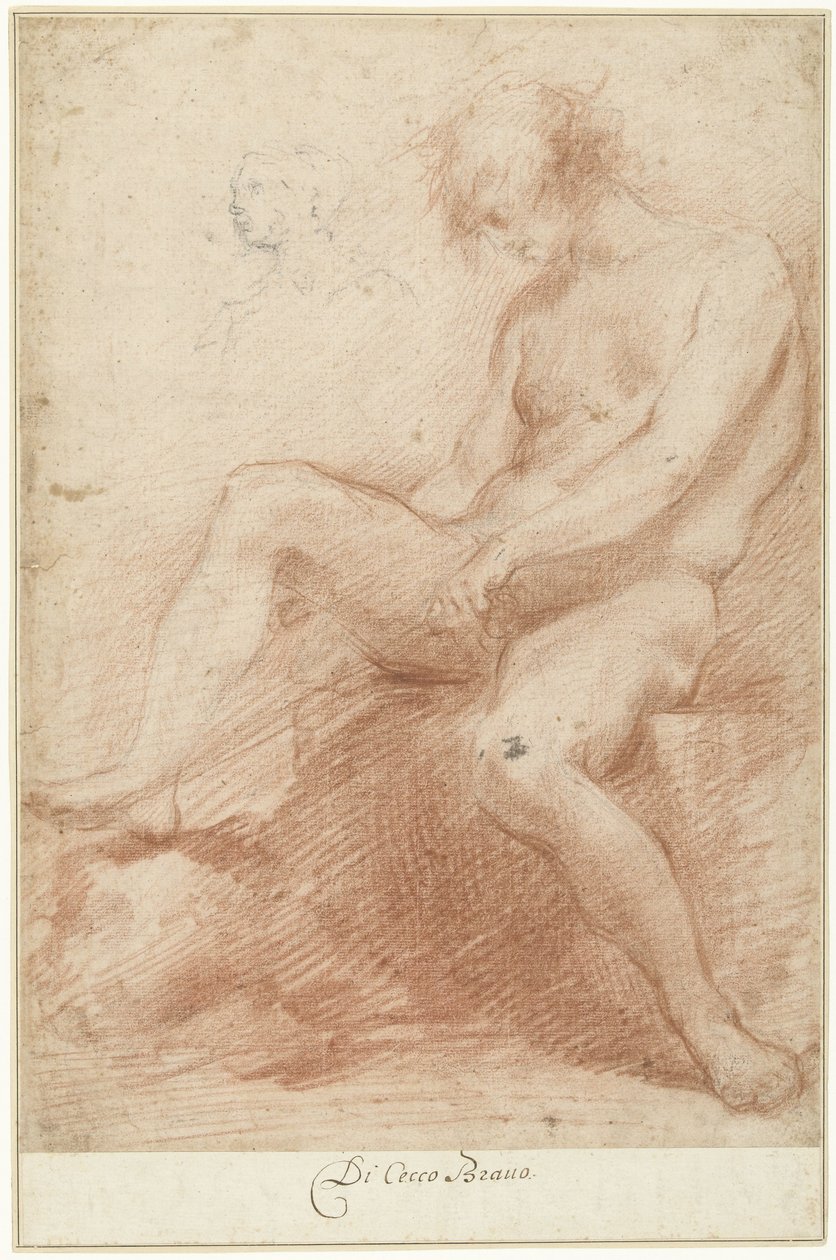 Studio di un modello maschile nudo da Francesco Montelatici