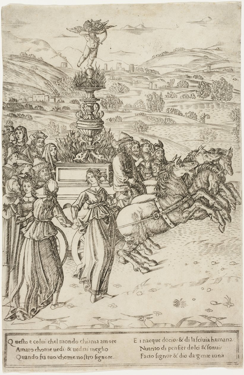 Il trionfo dell