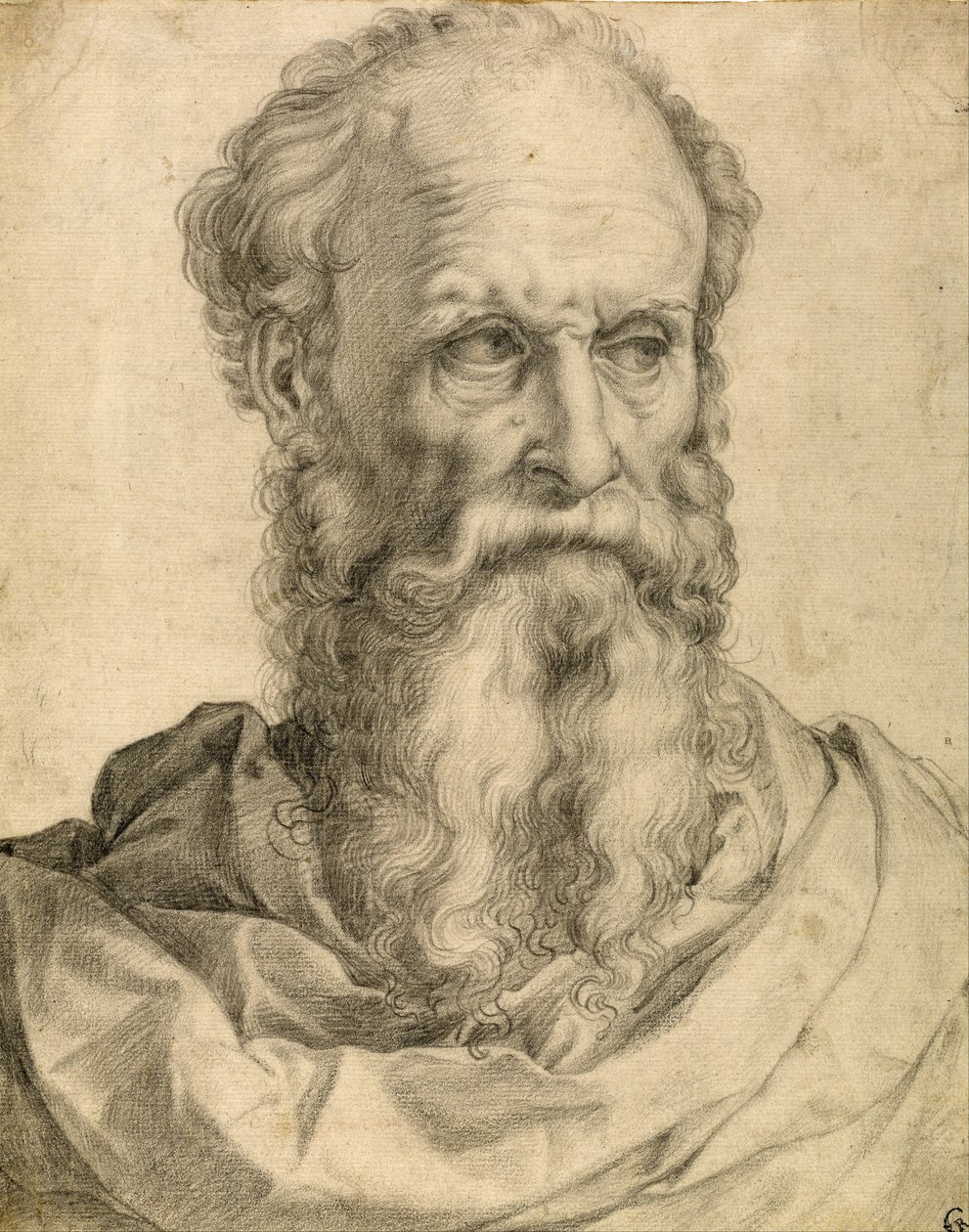 Testa e spalle di un uomo barbuto da Francesco Salviati