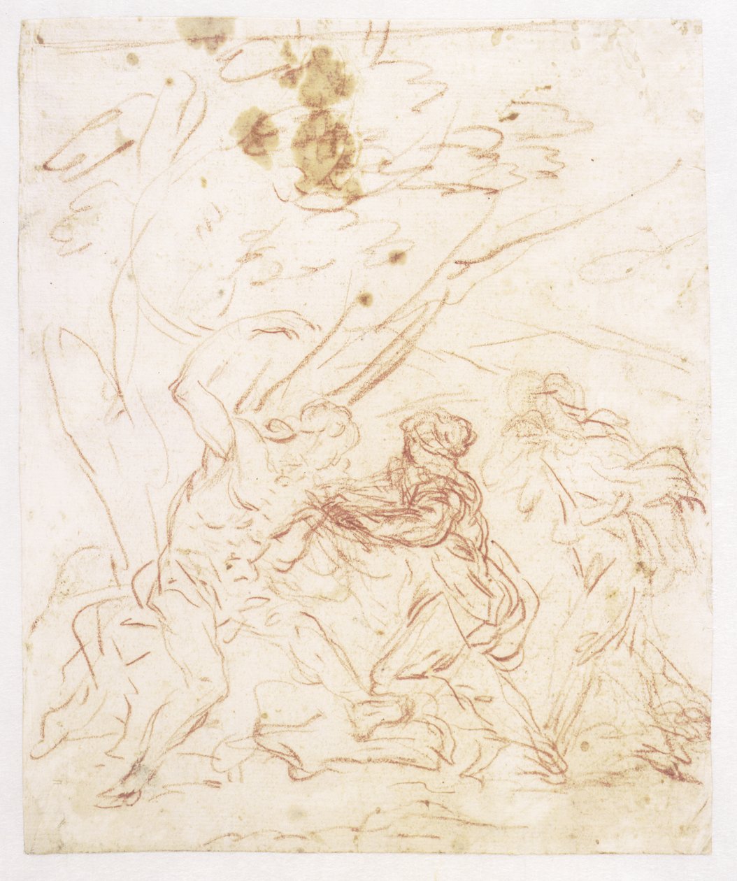 San Sebastiano curato da Santa Irene da Francesco Solimena
