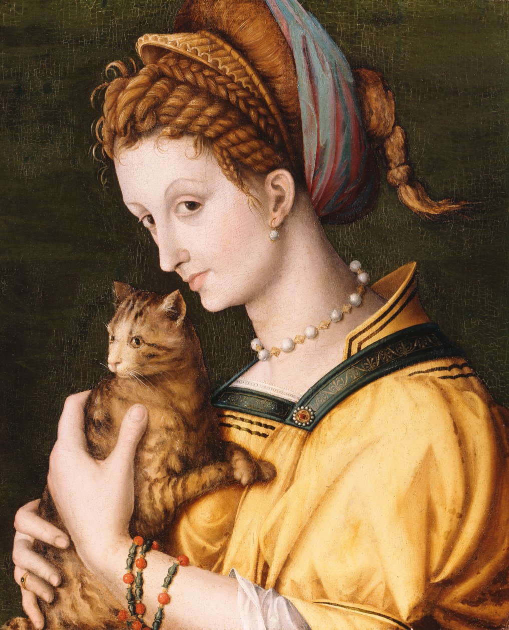 Signora con un gatto, c.1525-30 da Francesco Ubertini Bacchiacca