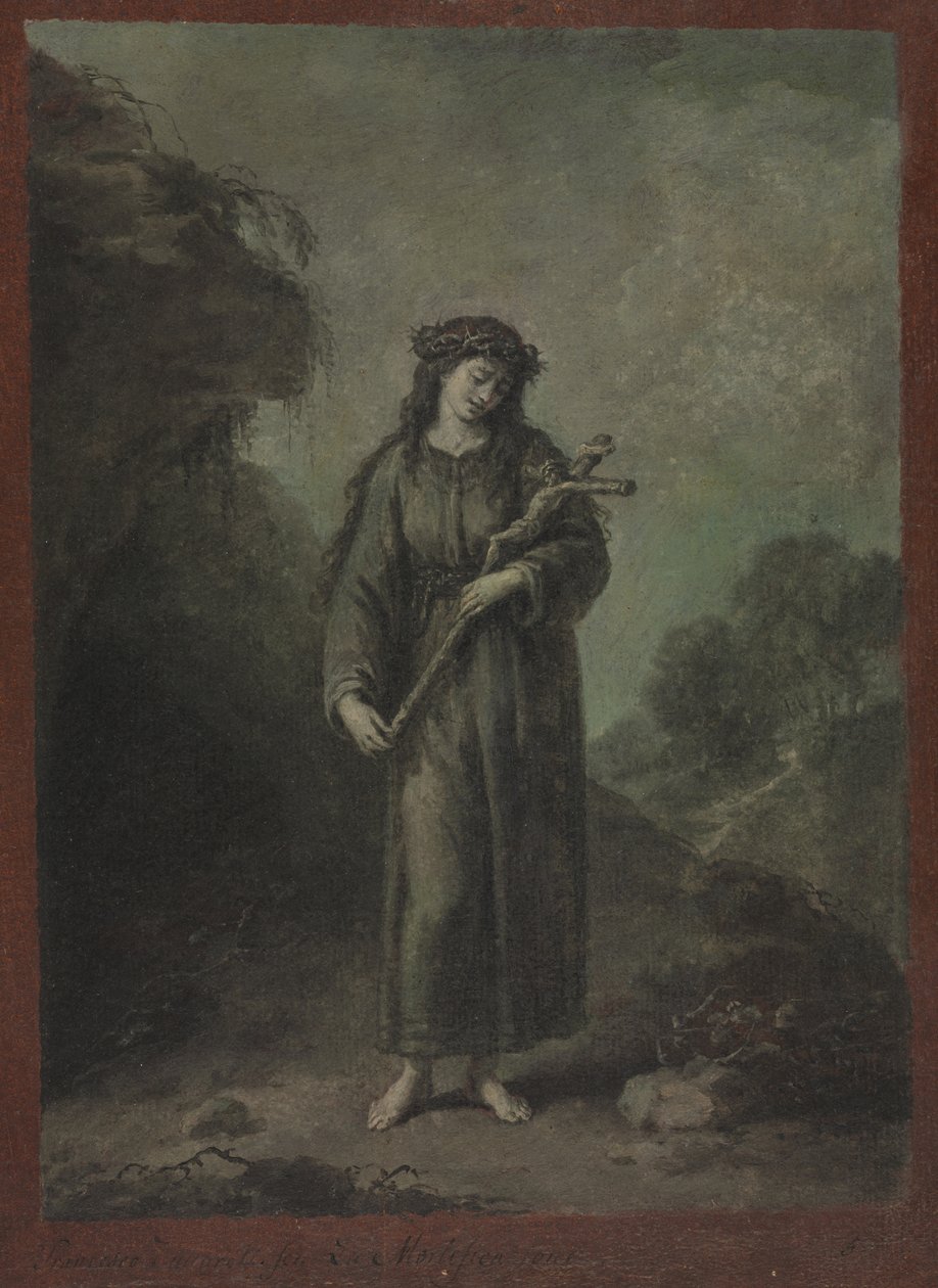 La mortificazione da Francesco Zuccarelli