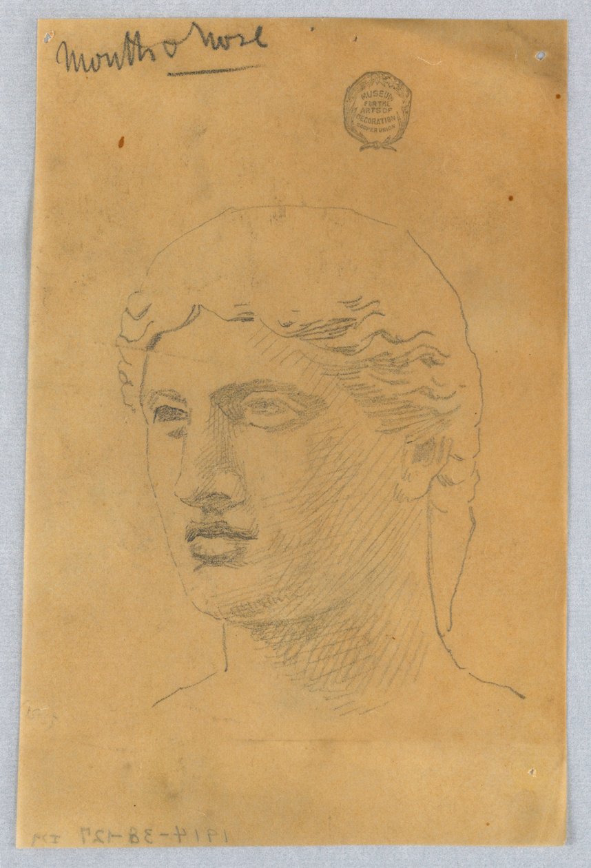 Schizzo della testa di un giovane da Francis Augustus Lathrop