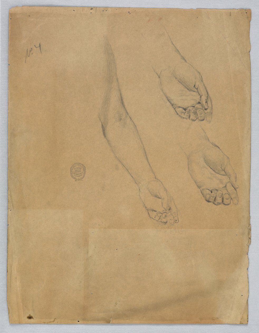 Tre studi di una mano sinistra da Francis Augustus Lathrop