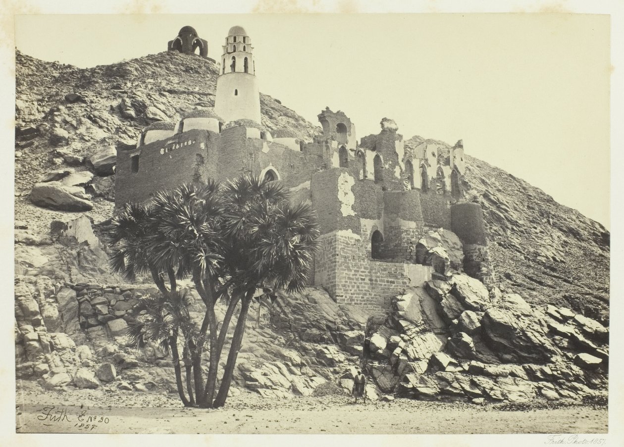 Palma Doum e Moschea in Rovina, Filè da Francis Frith