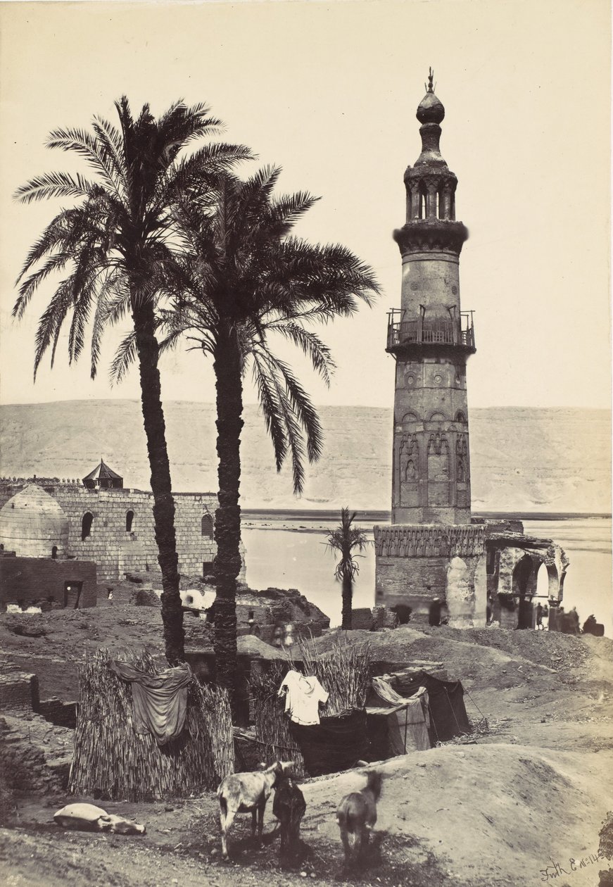 Veduta di Girgeh da Francis Frith