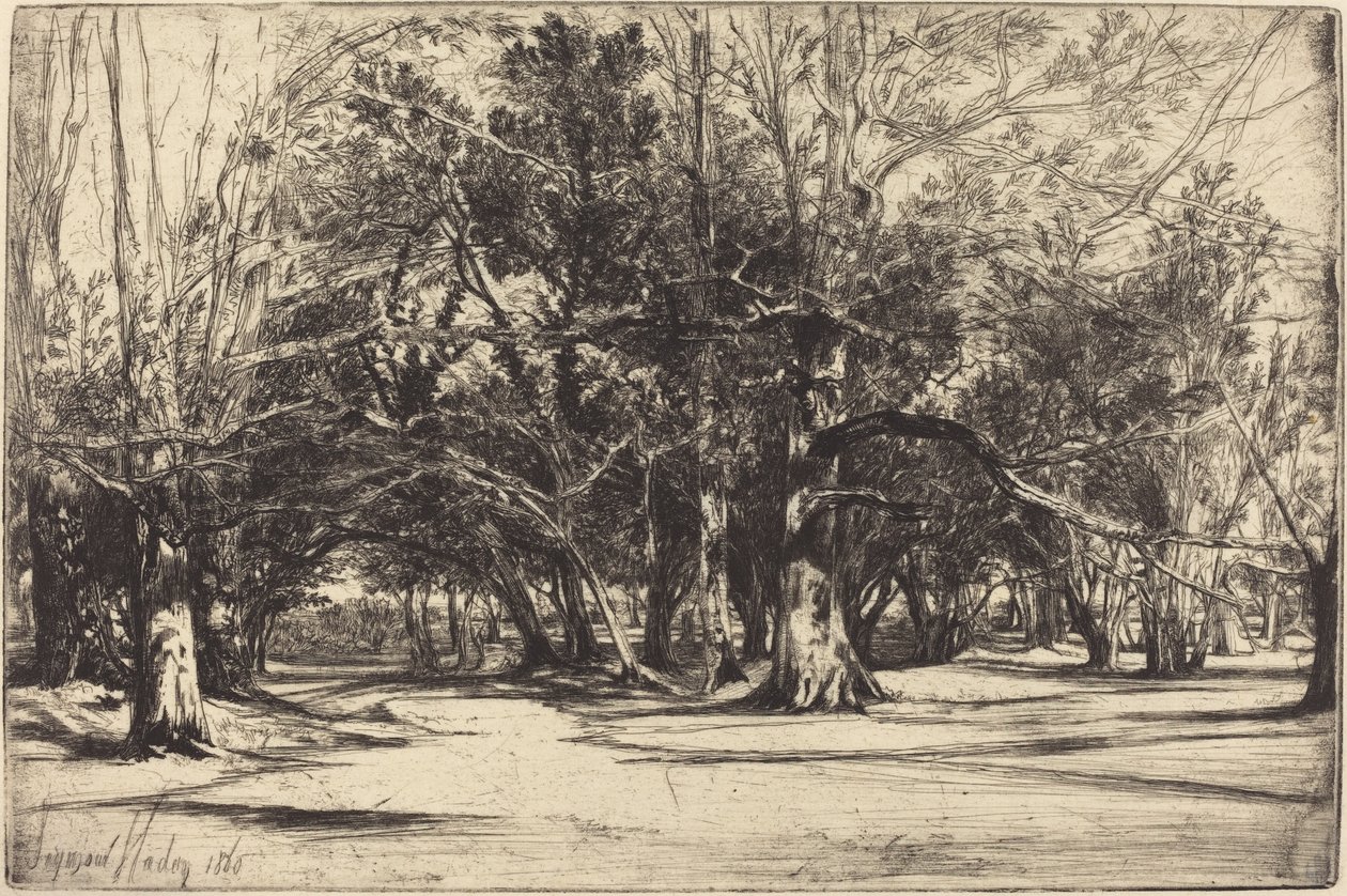 Una strada secondaria a Tipperary da Francis Seymour Haden
