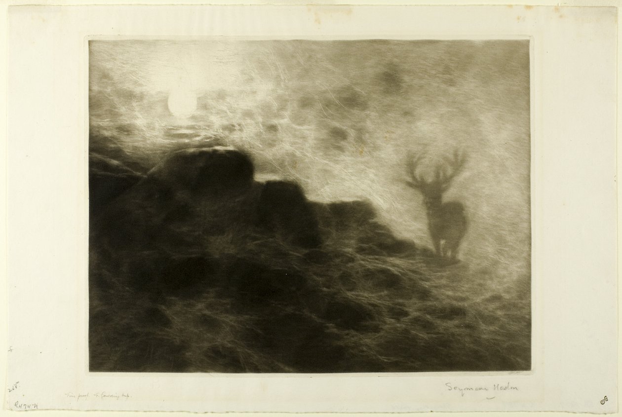 Un mattiniero da Francis Seymour Haden
