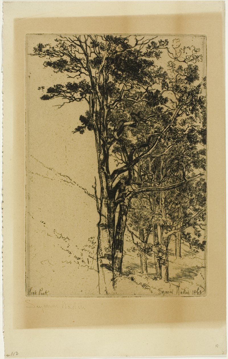 Abeti (Uno studio) da Francis Seymour Haden