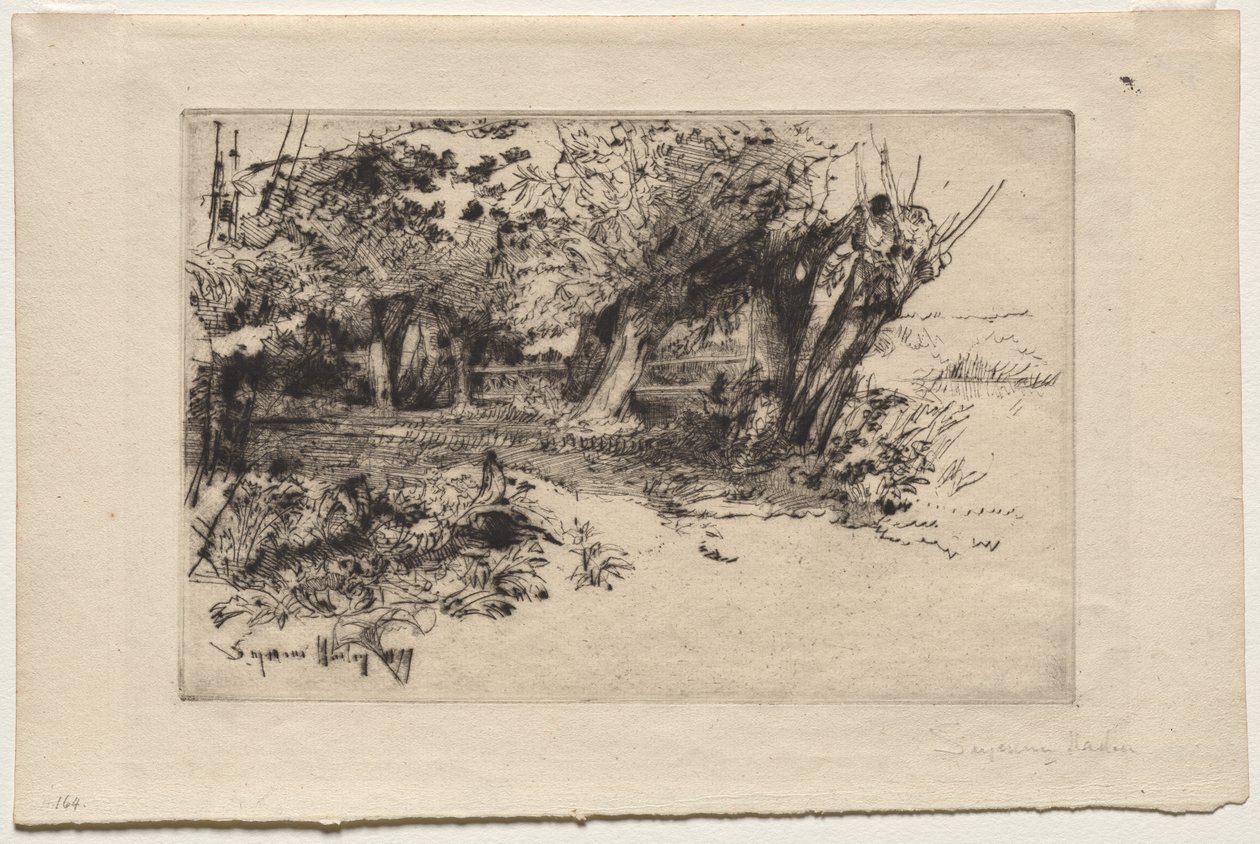 I Salici da Francis Seymour Haden