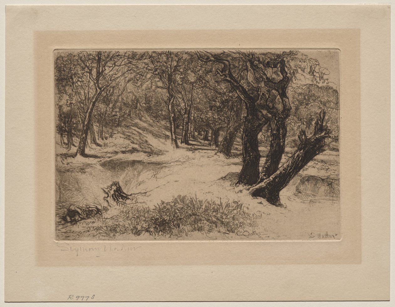 Tre sorelle da Francis Seymour Haden