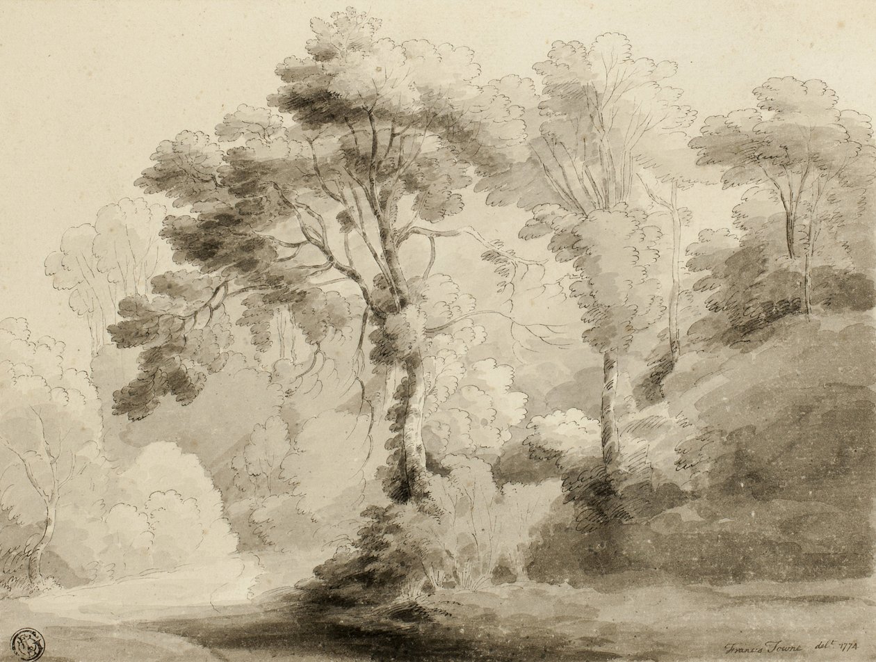 Paesaggio boscoso, 1774 da Francis Towne