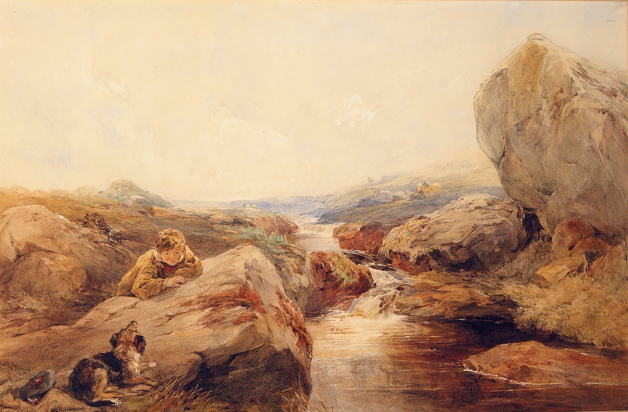 Sulle brughiere da Francis William Topham