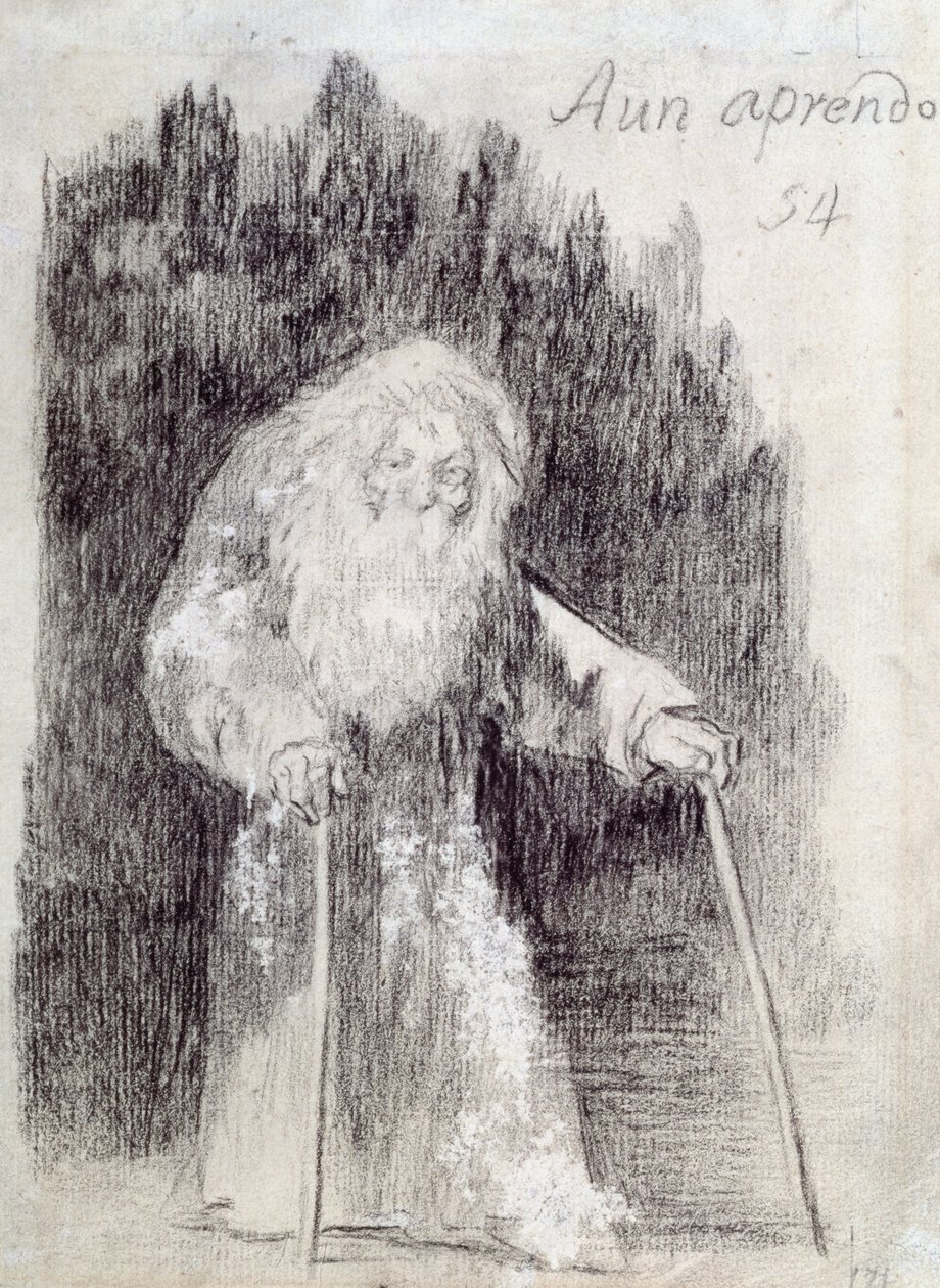 Sto ancora imparando (Aun Aprendo) da Francisco de Goya