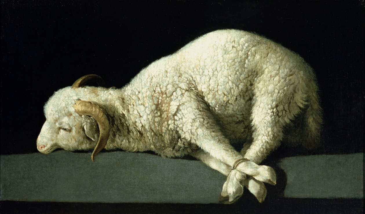 Agnus Dei, c.1635-40 da Francisco de Zurbaran