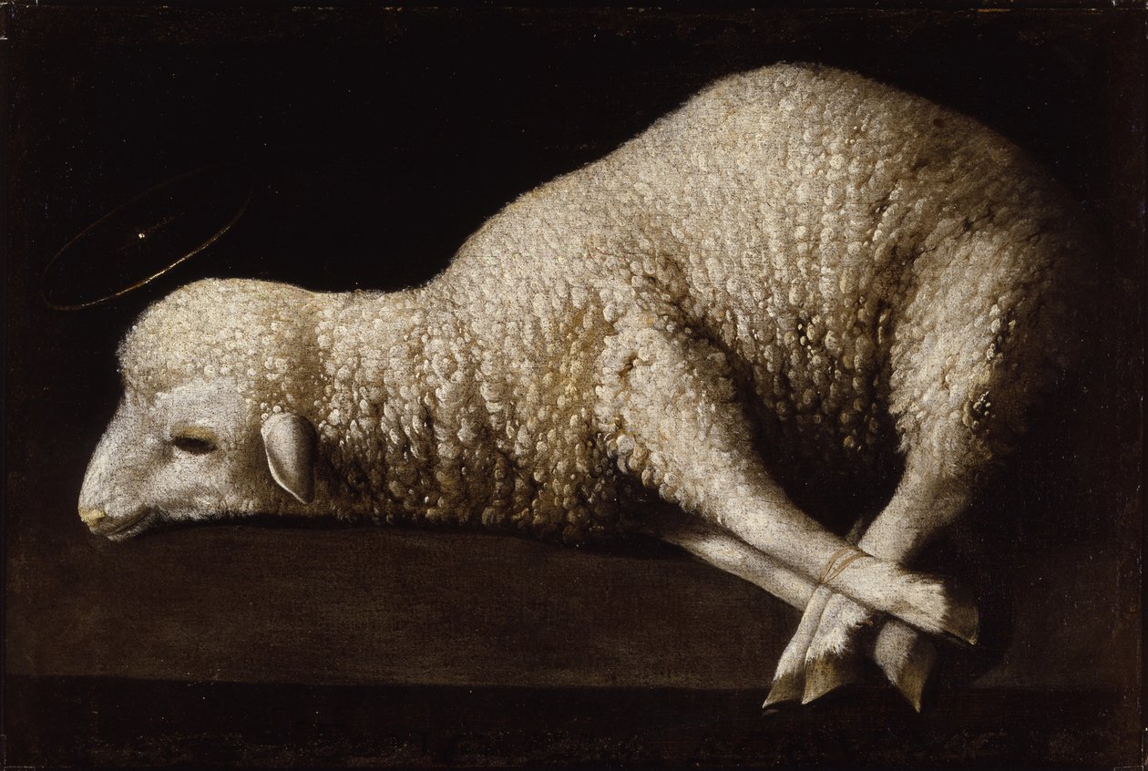 Agnus Dei, c.1635-40 da Francisco de Zurbaran