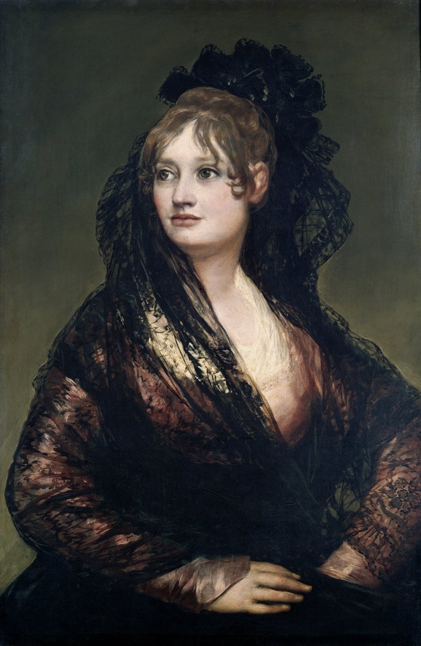 Immagine sconosciuta da Francisco de Goya