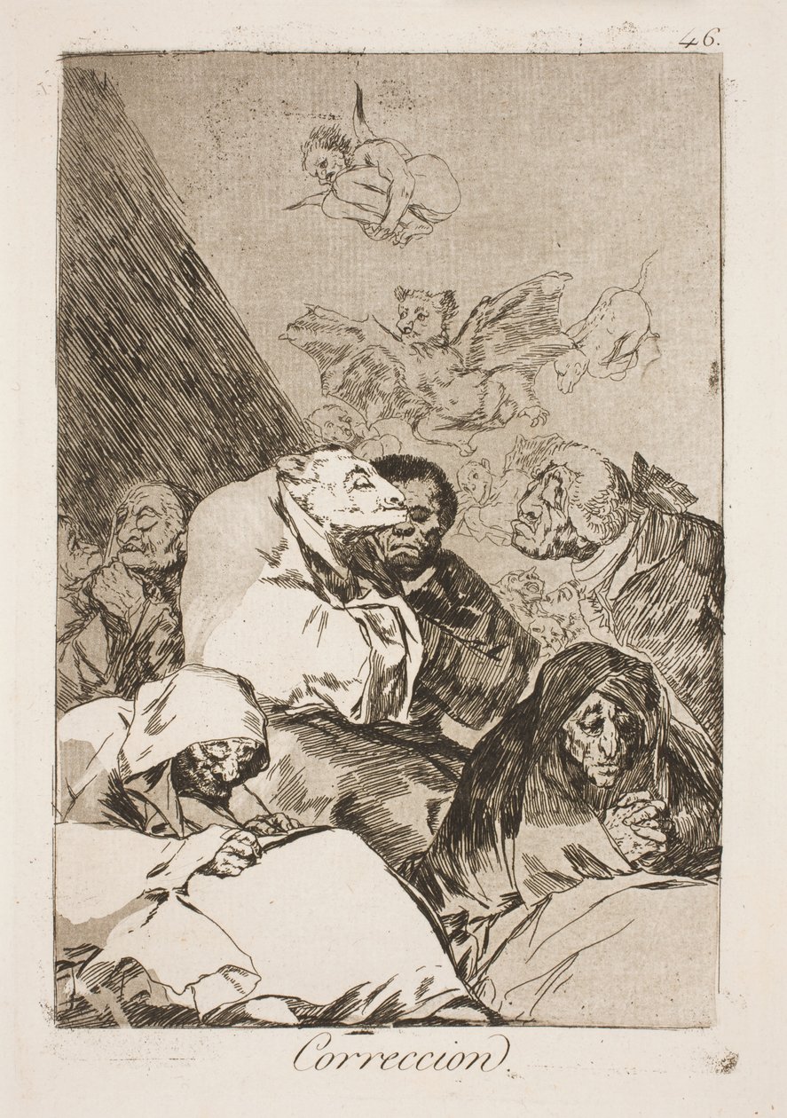 Rabbia da Francisco de Goya