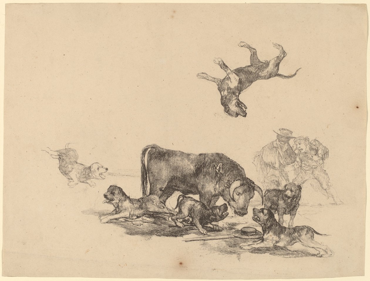 Toro Attaccato da Cani da Francisco de Goya