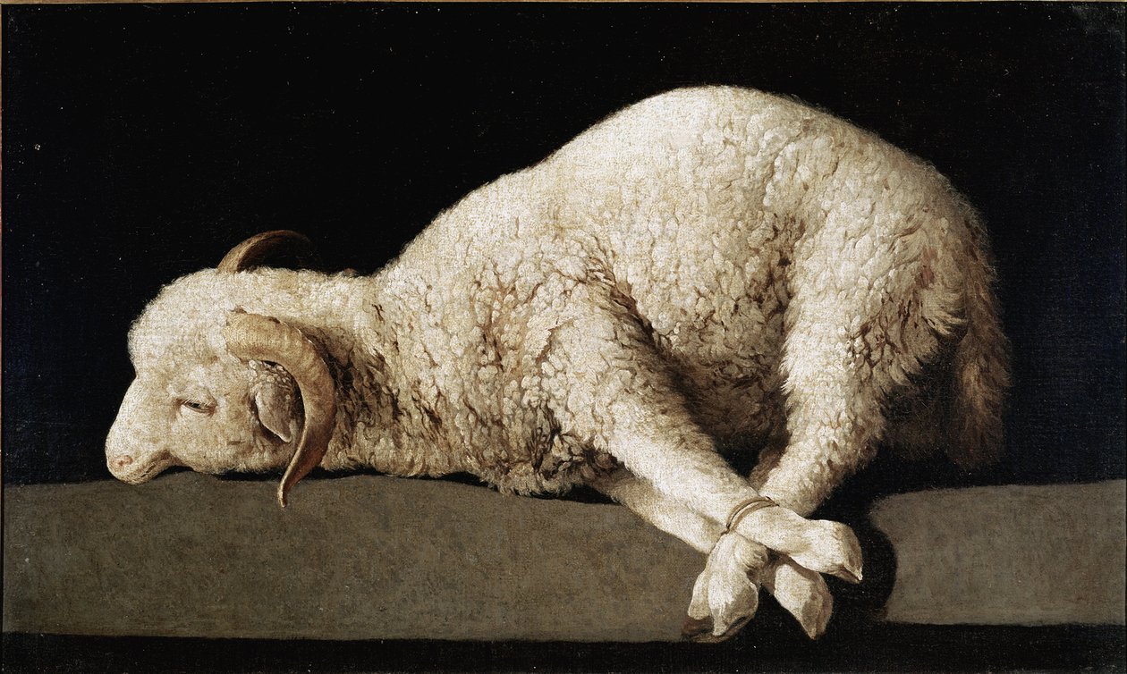 Agnus Dei da Francisco de Zurbaran