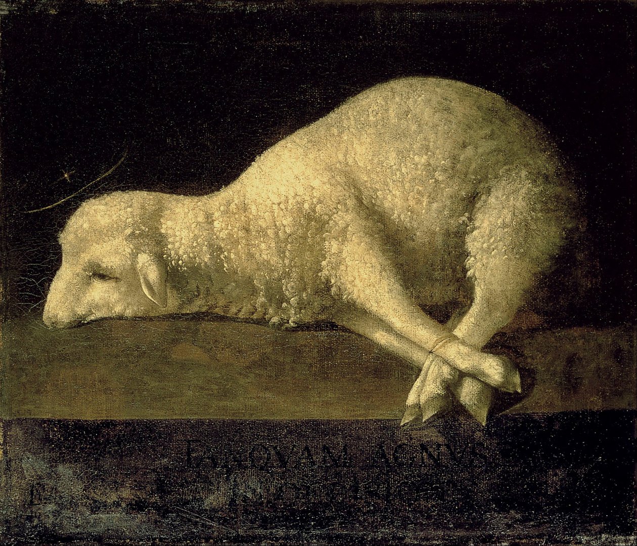Agnus Dei da Francisco de Zurbaran