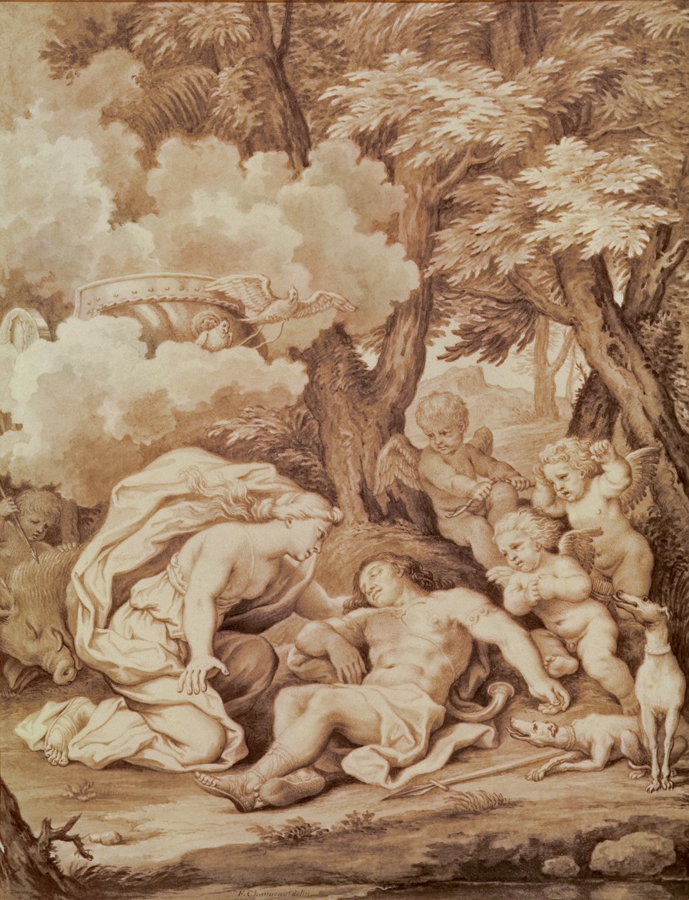 Venere scopre Adone, da 