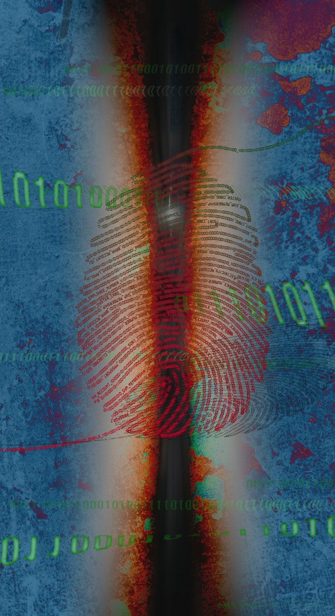 DIG1TS, 2014 da Francois Domain