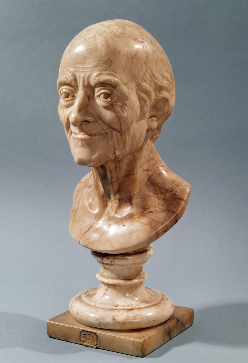 Busto di Voltaire (1694-1778) da Francois Marie Rosset