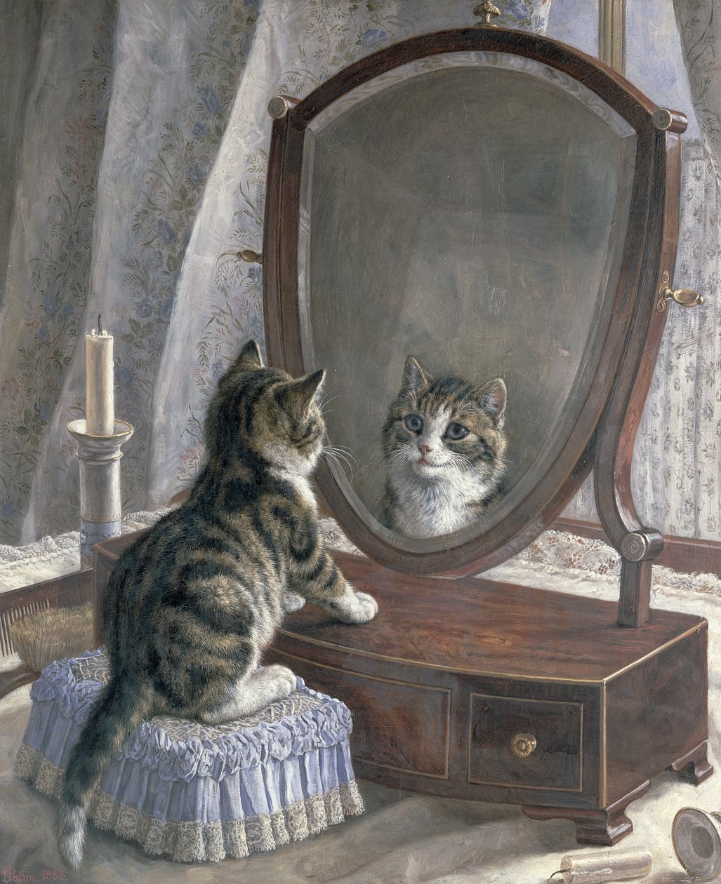 Chi è la più bella di tutte da Frank Paton
