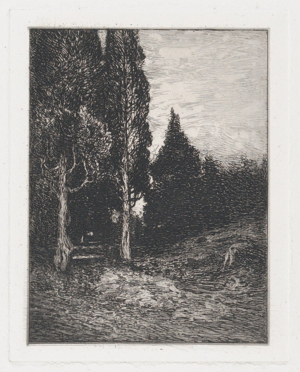 Paesaggio, ca. 1880-91 da Frank Anderson