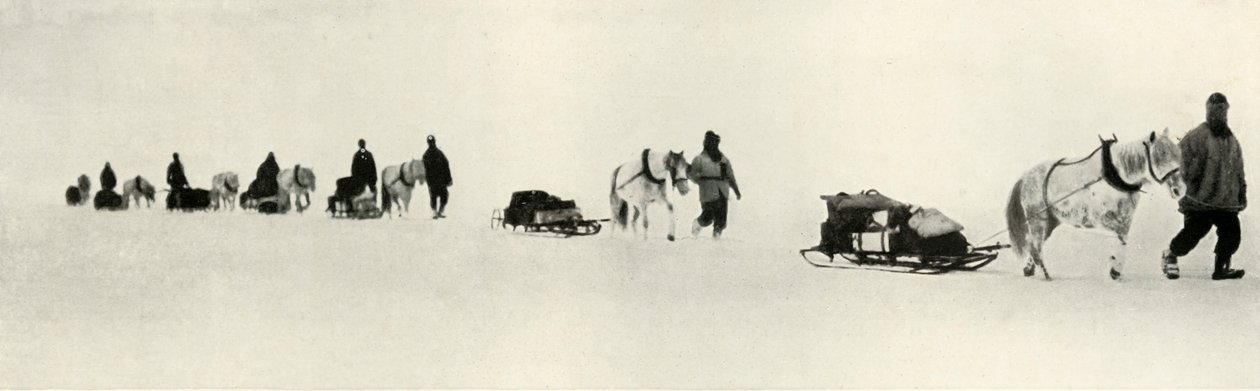Pony in marcia, 1911, 1913 da Frank Debenham