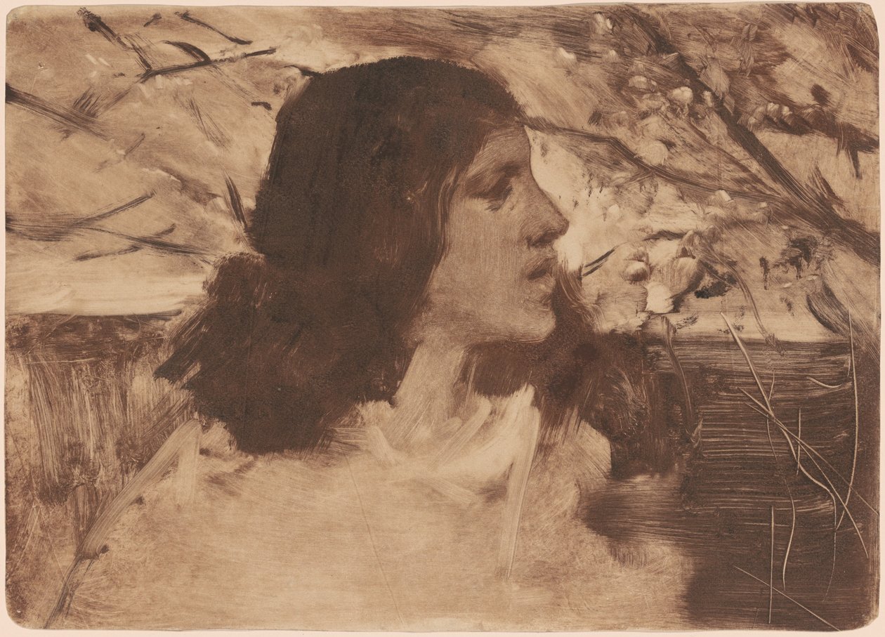 Testa di una donna da Frank Duveneck