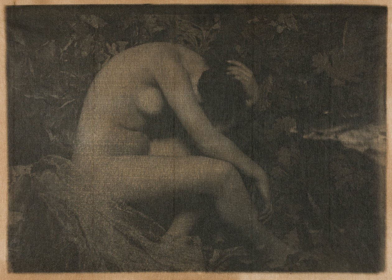 La cicala da Frank Eugene