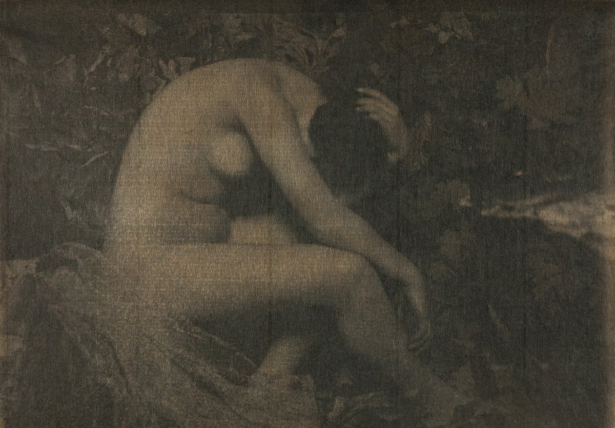 La Cigale, 1898 da Frank Eugene